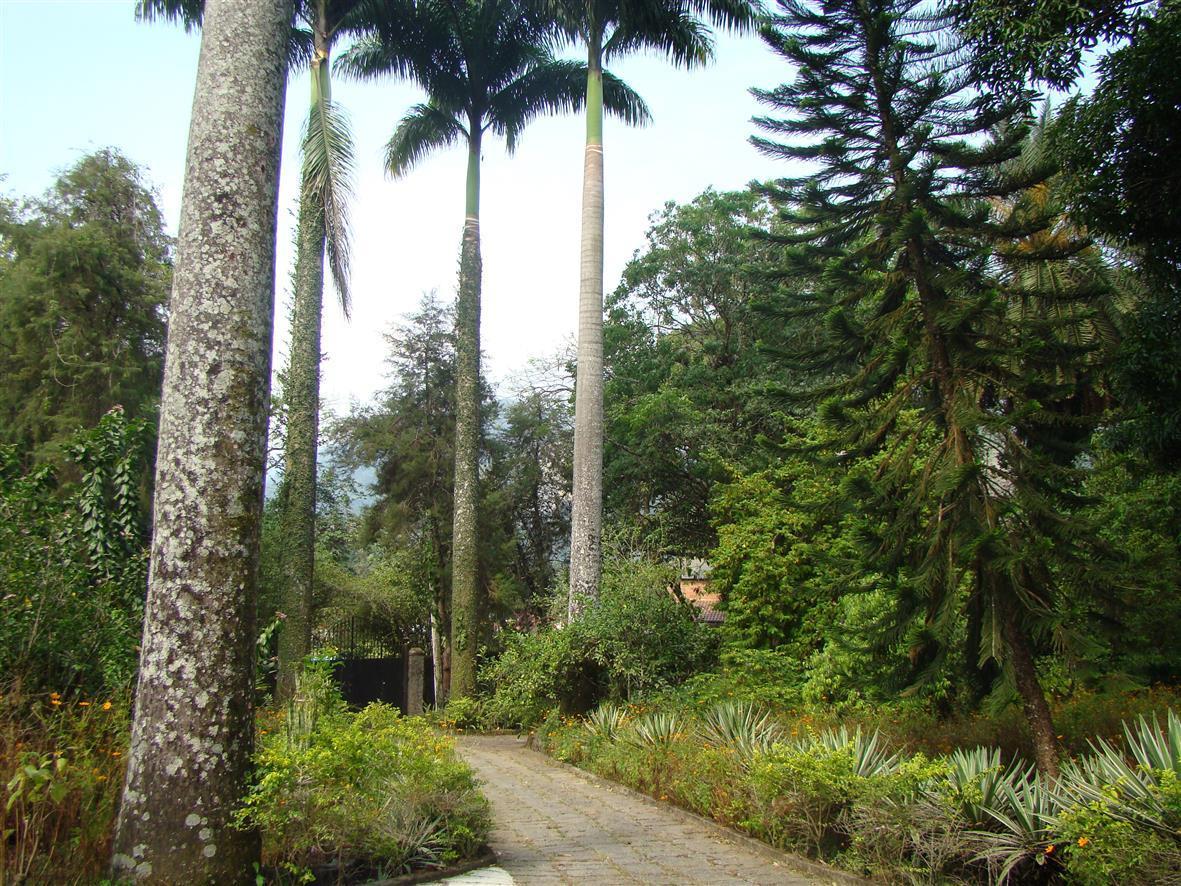 Casa De Campo Dos Sonhos Bed and Breakfast Cachoeiras de Macacu Exterior foto